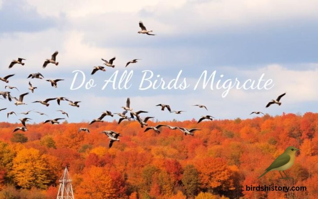 do all birds migrate