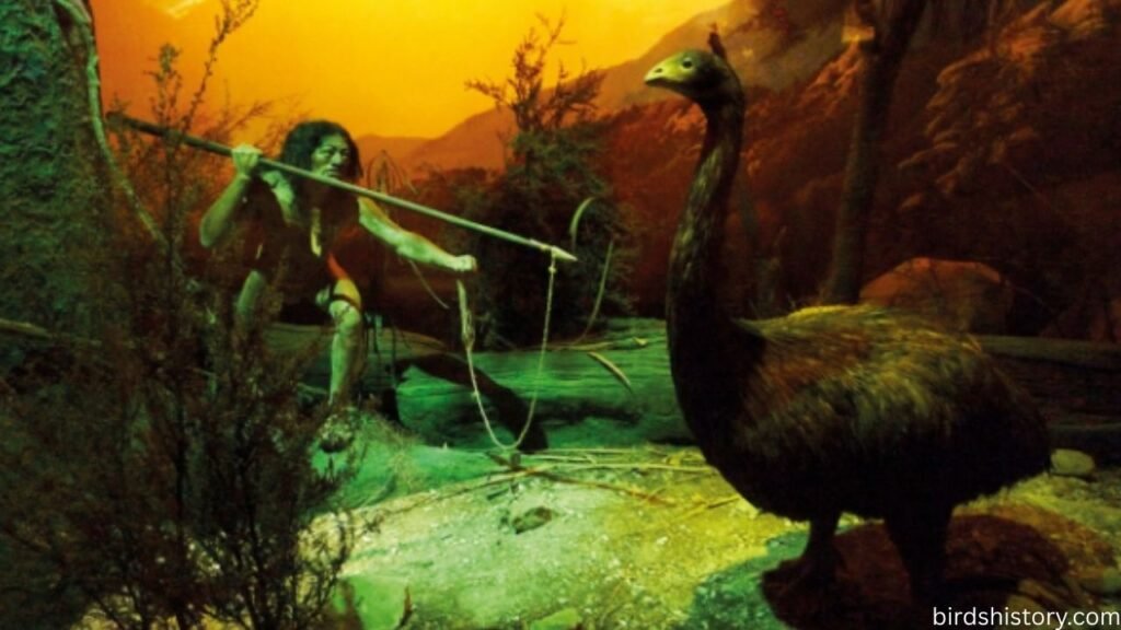 The Giant Moa