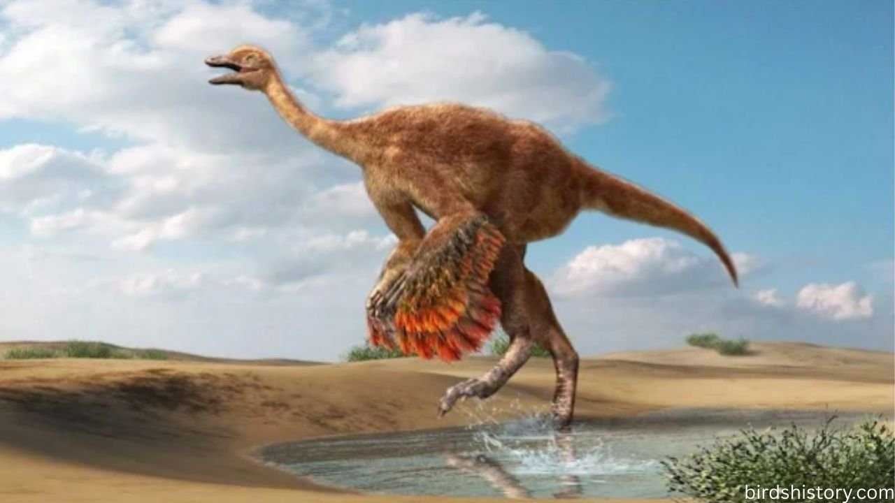 The Elephant Bird