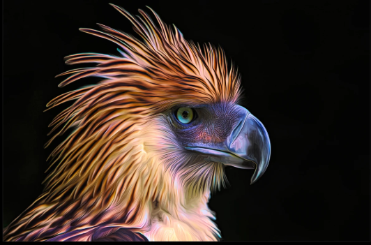 The Philippine Eagle: Guardian of the Rainforest and a National Treasure