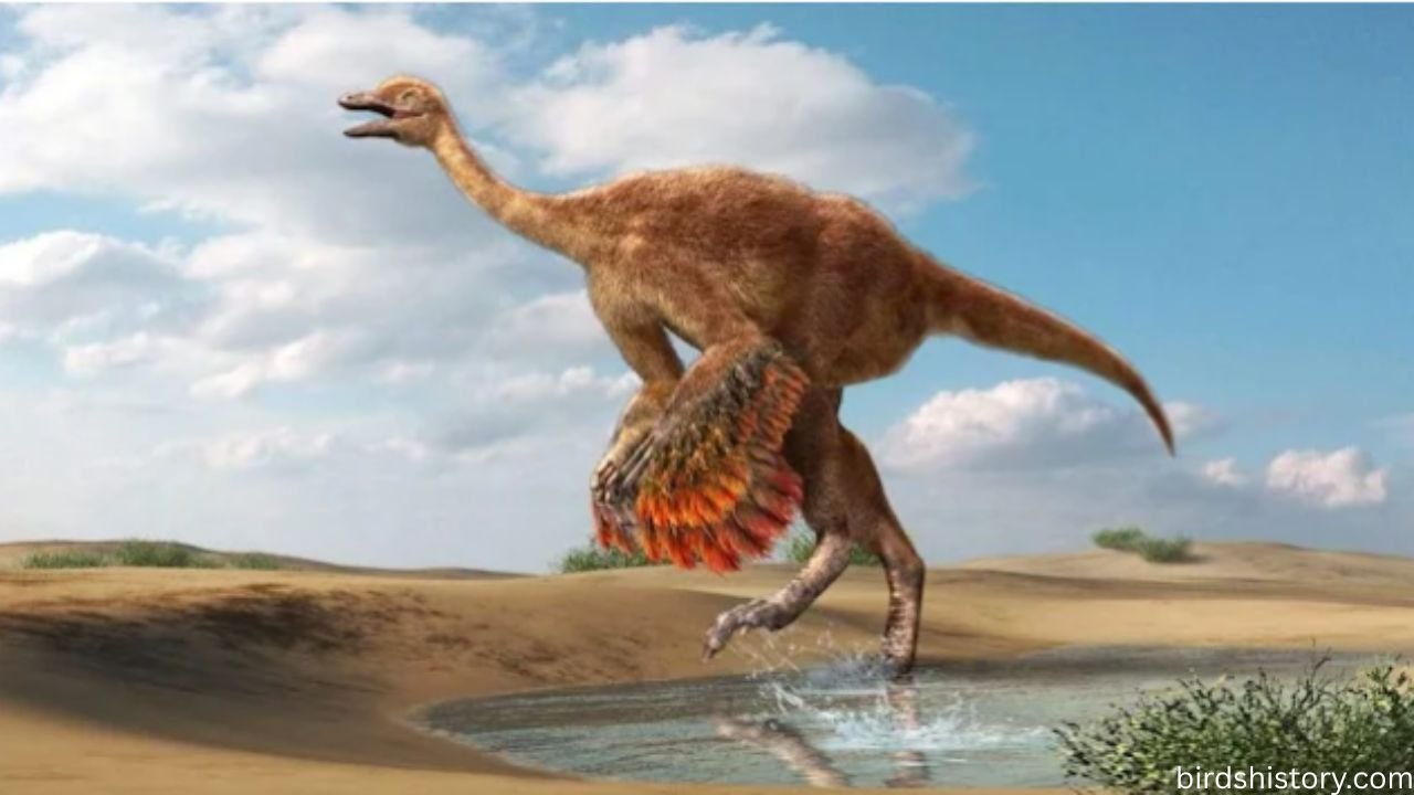 Elephant Bird