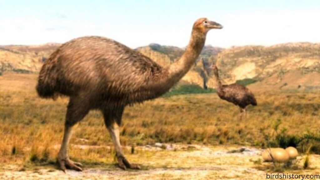 Elephant Bird