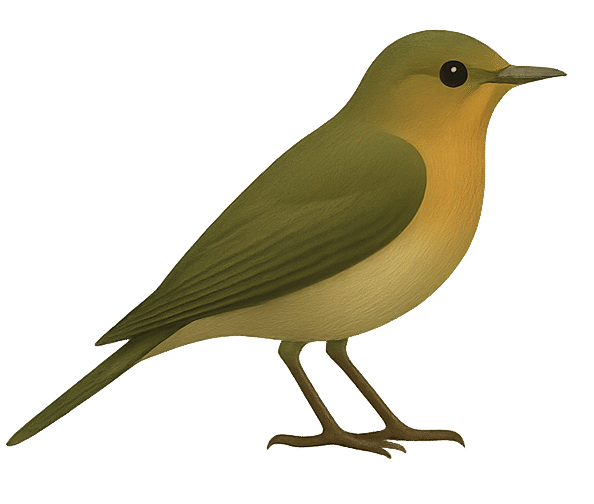 birdshistory.com