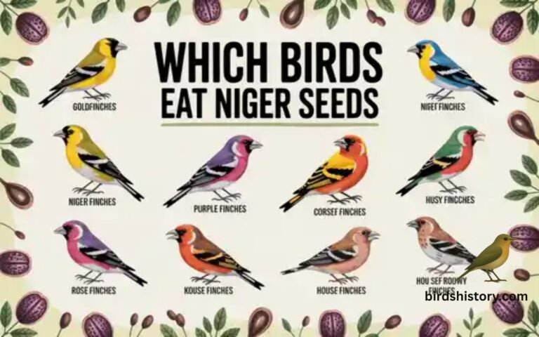 Which Birds Eat Niger Seeds